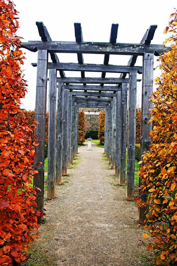 Autumn Arbor by Deb Oppermann